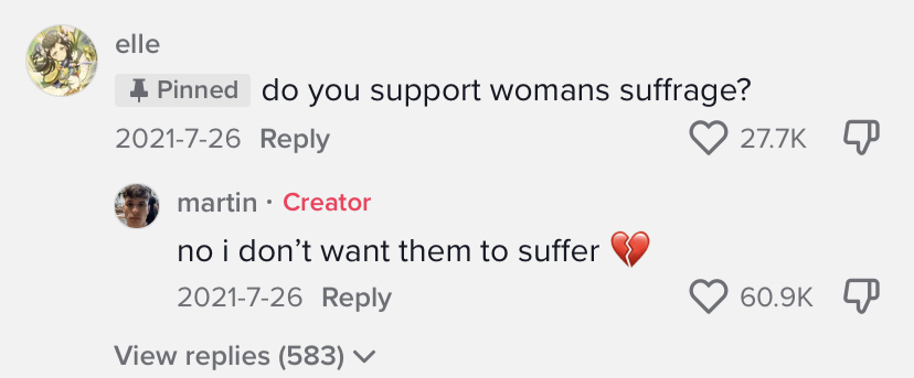 tiktok comment section